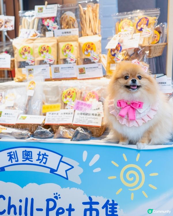 週末好去處！浪浪領養+市集！🐶🥳