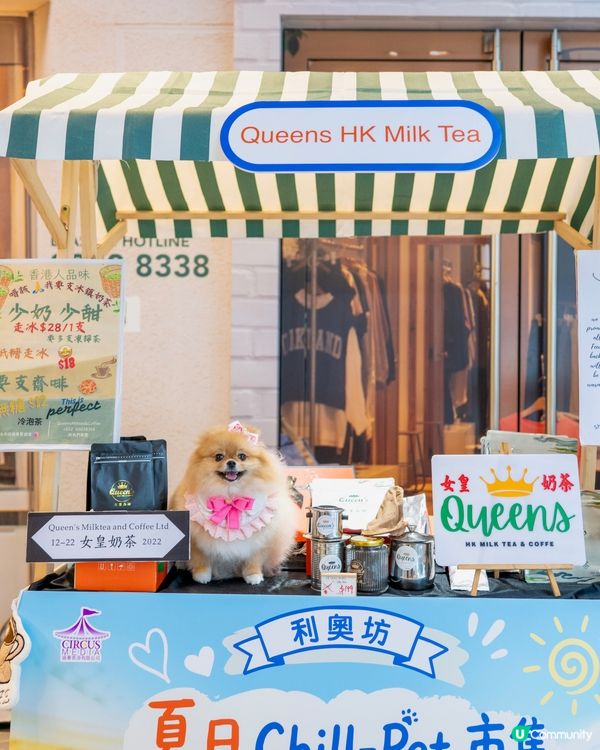 週末好去處！浪浪領養+市集！🐶🥳