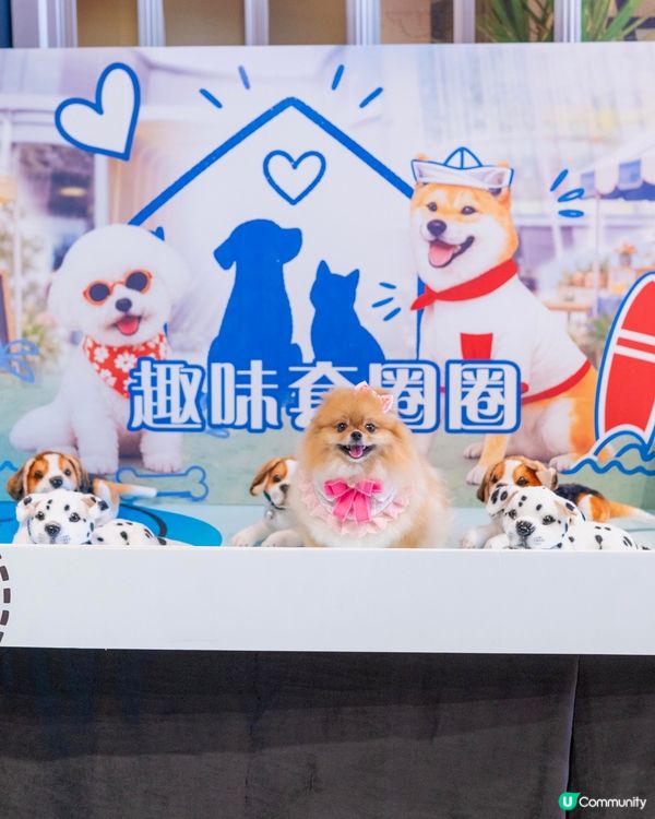 週末好去處！浪浪領養+市集！🐶🥳