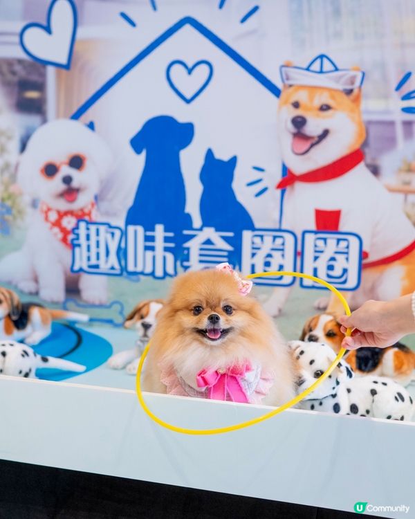 週末好去處！浪浪領養+市集！🐶🥳