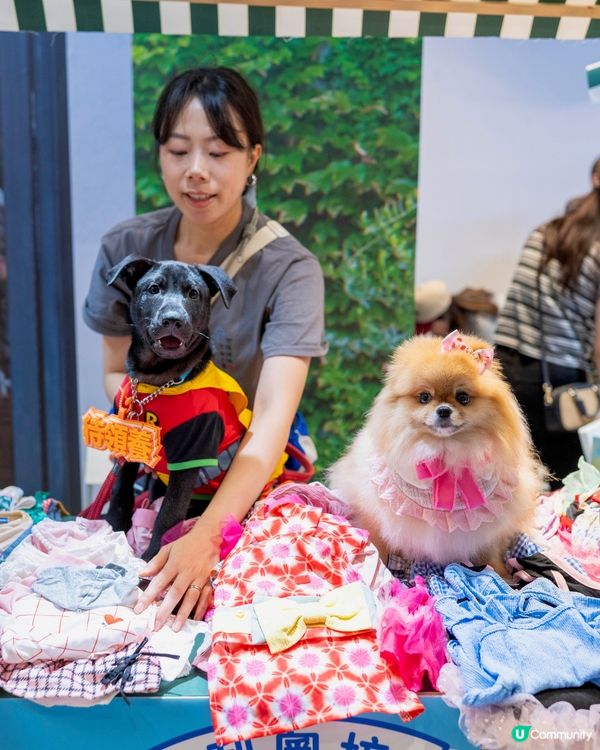 週末好去處！浪浪領養+市集！🐶🥳