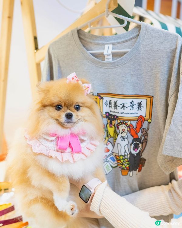 週末好去處！浪浪領養+市集！🐶🥳