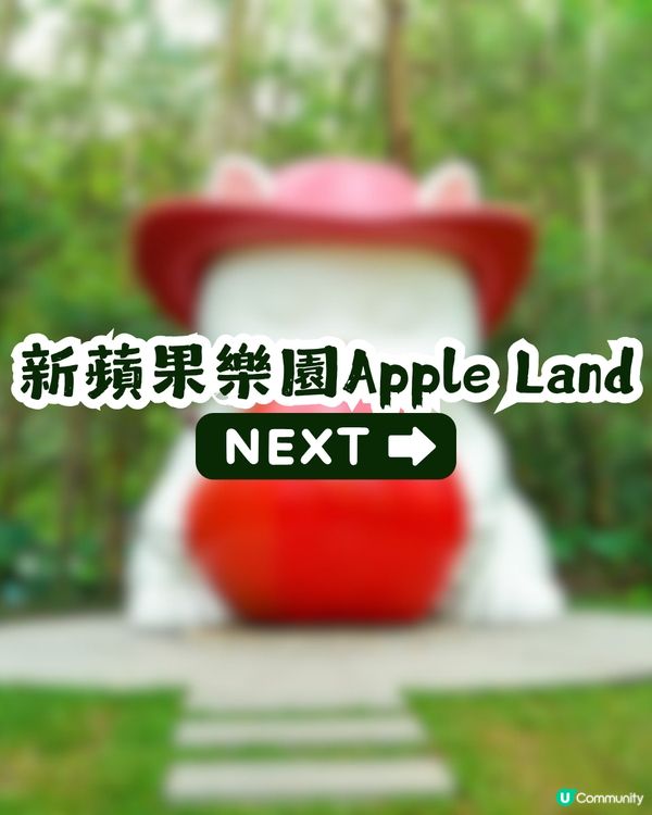 深圳園博園慢一日遊😌荷蘭菊紫色花海/新蘋果樂園/4大國際花園/漢服體驗/4大Cafe