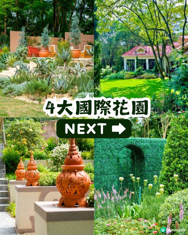 深圳園博園慢一日遊😌荷蘭菊紫色花海/新蘋果樂園/4大國際花園/漢服體驗/4大Cafe