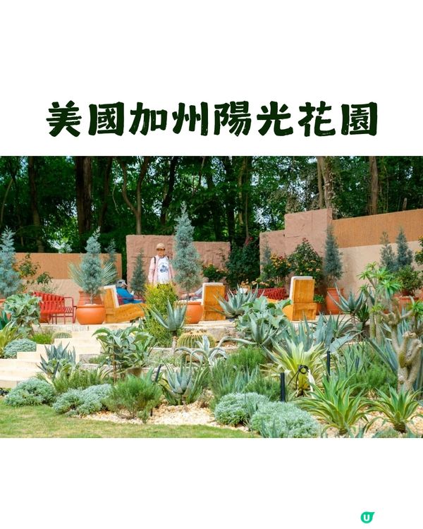 深圳園博園慢一日遊😌荷蘭菊紫色花海/新蘋果樂園/4大國際花園/漢服體驗/4大Cafe