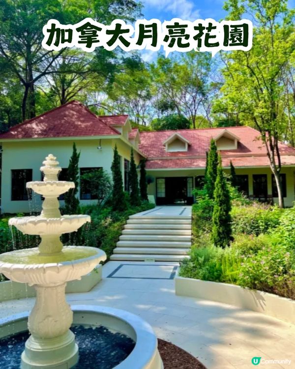 深圳園博園慢一日遊😌荷蘭菊紫色花海/新蘋果樂園/4大國際花園/漢服體驗/4大Cafe