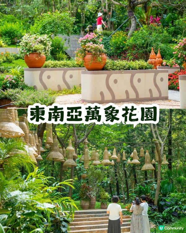 深圳園博園慢一日遊😌荷蘭菊紫色花海/新蘋果樂園/4大國際花園/漢服體驗/4大Cafe