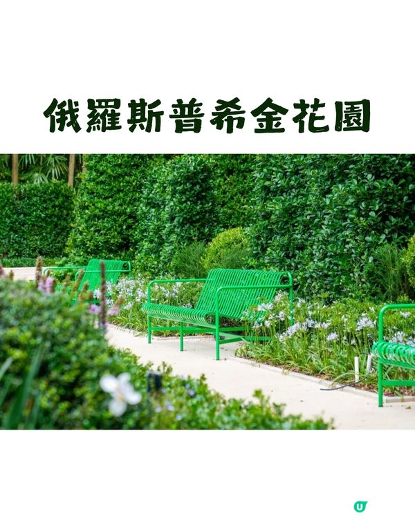 深圳園博園慢一日遊😌荷蘭菊紫色花海/新蘋果樂園/4大國際花園/漢服體驗/4大Cafe