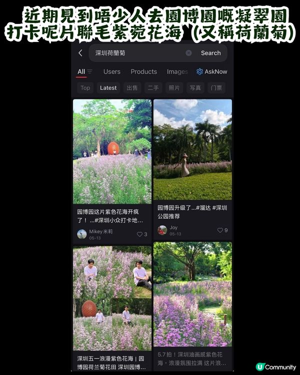 深圳園博園慢一日遊😌荷蘭菊紫色花海/新蘋果樂園/4大國際花園/漢服體驗/4大Cafe
