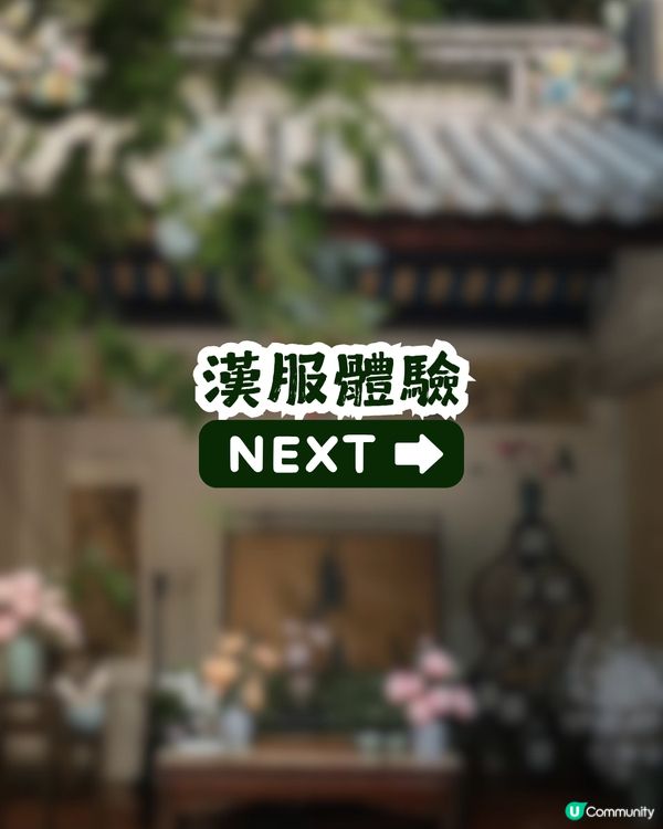 深圳園博園慢一日遊😌荷蘭菊紫色花海/新蘋果樂園/4大國際花園/漢服體驗/4大Cafe