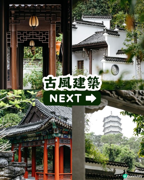 深圳園博園慢一日遊😌荷蘭菊紫色花海/新蘋果樂園/4大國際花園/漢服體驗/4大Cafe