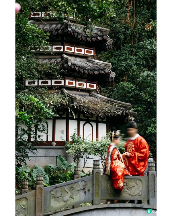 深圳園博園慢一日遊😌荷蘭菊紫色花海/新蘋果樂園/4大國際花園/漢服體驗/4大Cafe