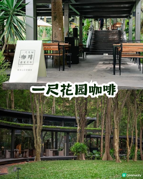 深圳園博園慢一日遊😌荷蘭菊紫色花海/新蘋果樂園/4大國際花園/漢服體驗/4大Cafe