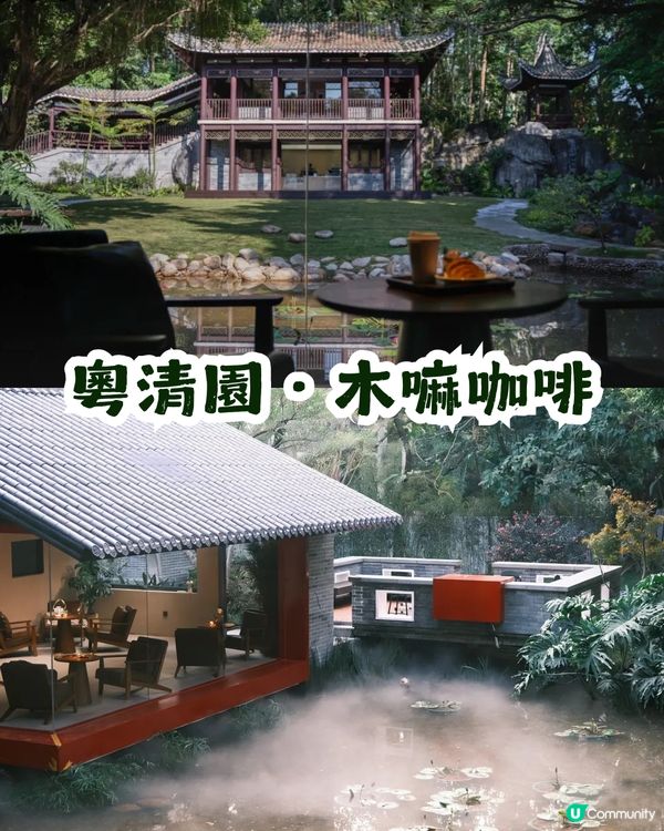 深圳園博園慢一日遊😌荷蘭菊紫色花海/新蘋果樂園/4大國際花園/漢服體驗/4大Cafe