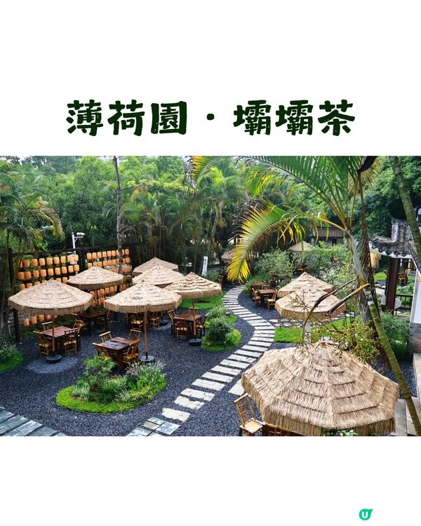 深圳園博園慢一日遊😌荷蘭菊紫色花海/新蘋果樂園/4大國際花園/漢服體驗/4大Cafe