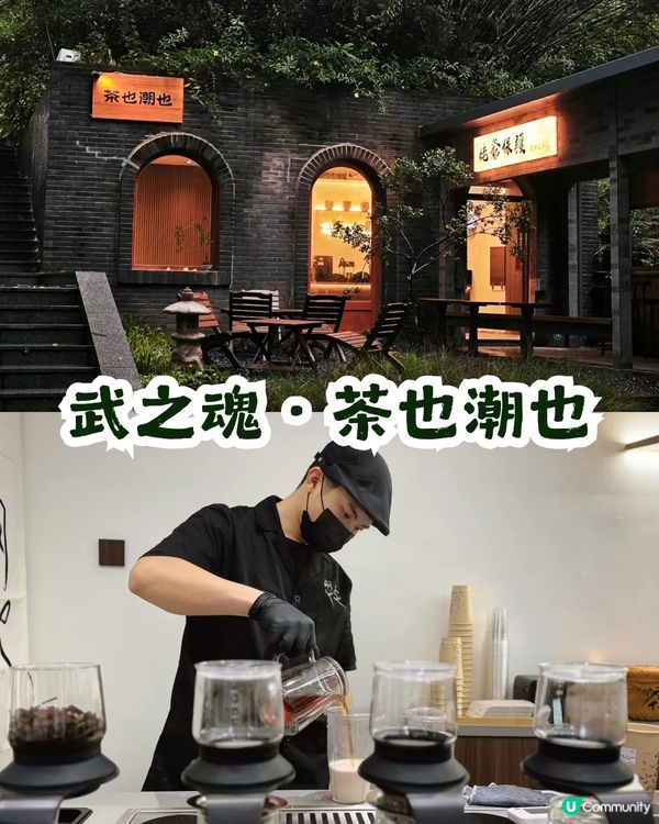 深圳園博園慢一日遊😌荷蘭菊紫色花海/新蘋果樂園/4大國際花園/漢服體驗/4大Cafe