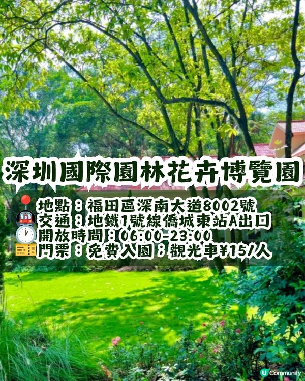 深圳園博園慢一日遊😌荷蘭菊紫色花海/新蘋果樂園/4大國際花園/漢服體驗/4大Cafe
