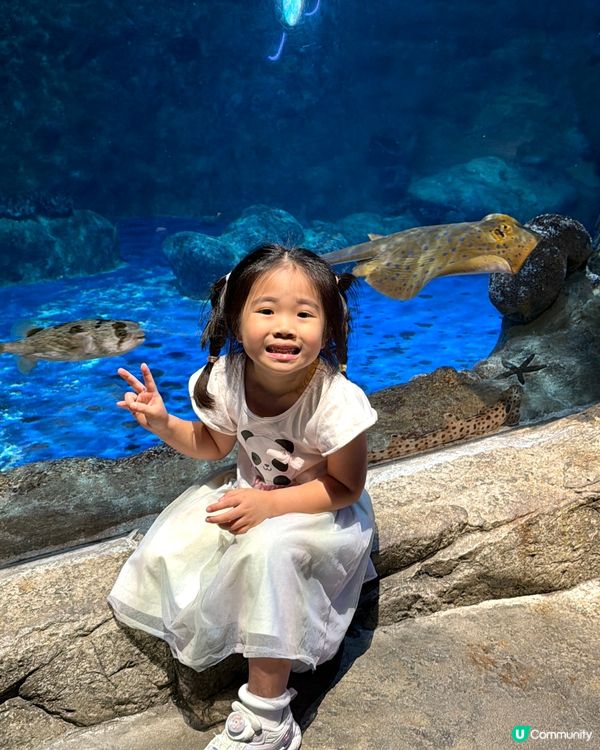 來海洋公園瘋狂同Sanrio打卡！