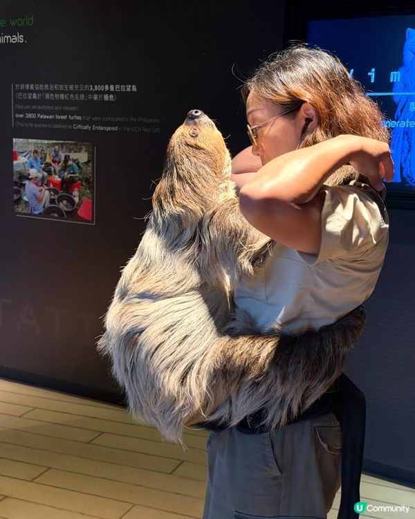 來海洋公園瘋狂同Sanrio打卡！