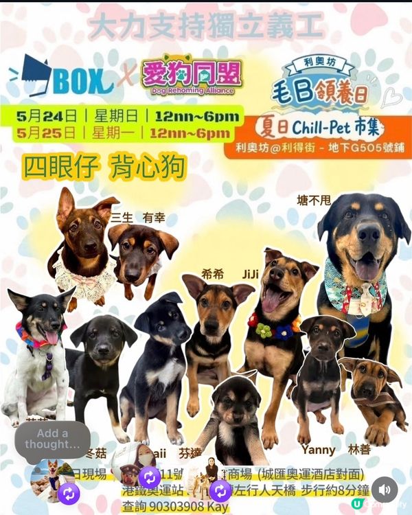 今個假期好去處🌟寵物市集🐶🛍️