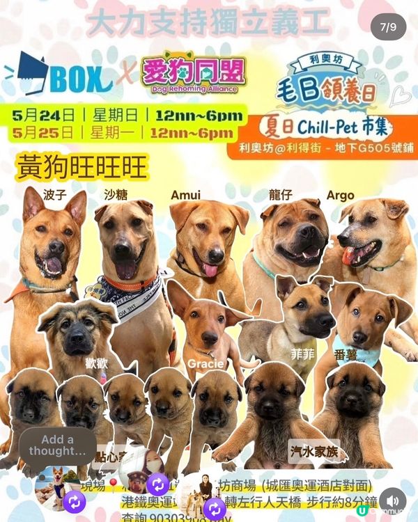 今個假期好去處🌟寵物市集🐶🛍️