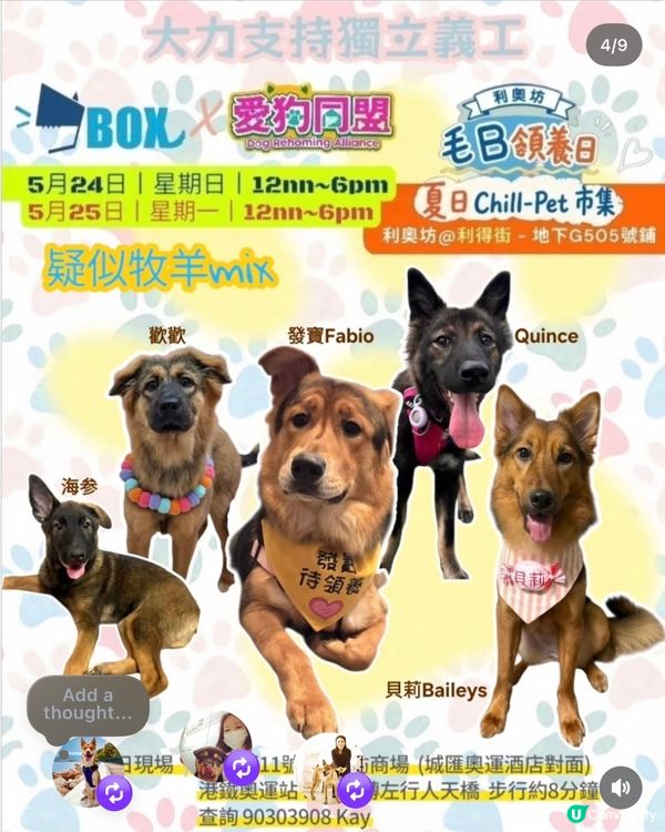 今個假期好去處🌟寵物市集🐶🛍️