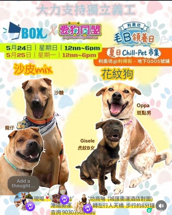今個假期好去處🌟寵物市集🐶🛍️