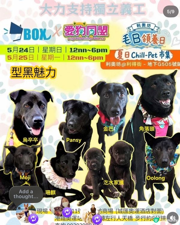 今個假期好去處🌟寵物市集🐶🛍️