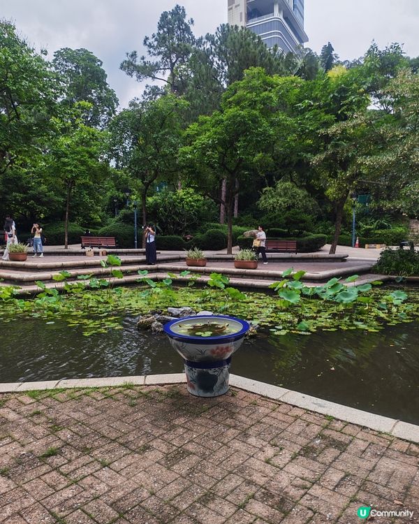 九龍公園放電天📍親子遊好去處👨‍👩‍👧‍👦