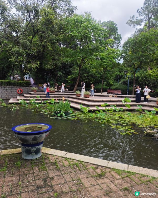 九龍公園放電天📍親子遊好去處👨‍👩‍👧‍👦