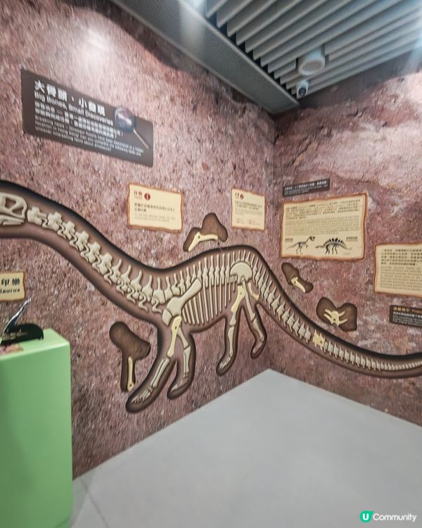 恐龍覓蹤！🦖 香港文物探知館尋龍記 🐲