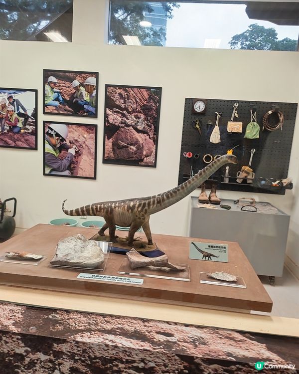 恐龍覓蹤！🦖 香港文物探知館尋龍記 🐲