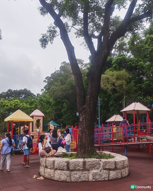 九龍公園免費放電⚔️🐦親子一流！🤩
