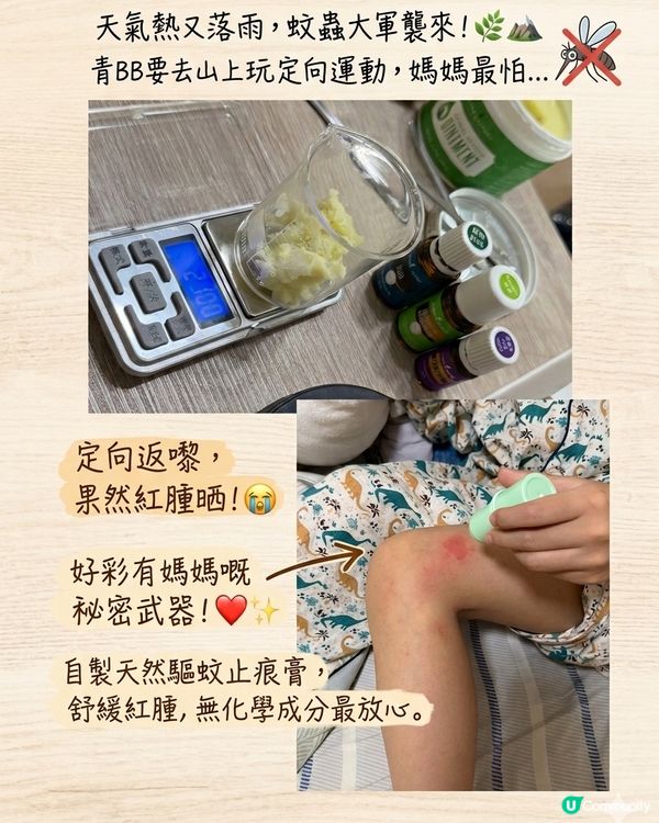 雨後公園：媽媽最怕的「蚊子」來了！🌿