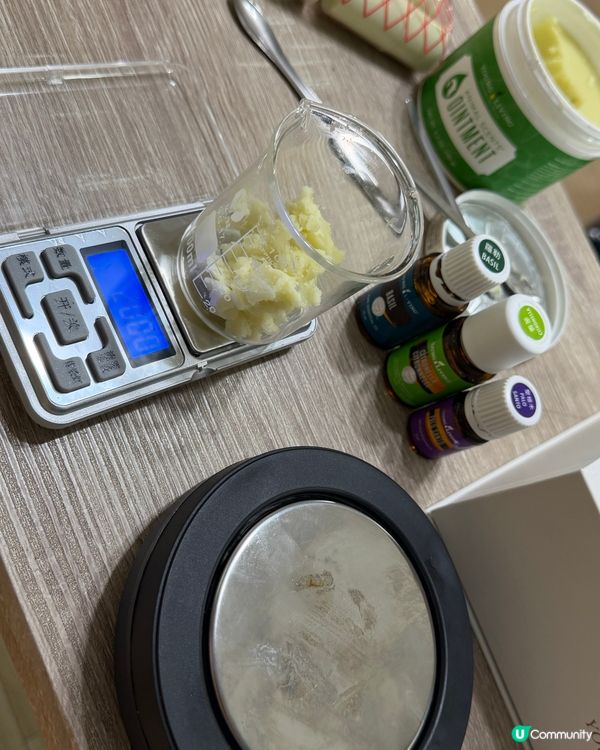雨後公園：媽媽最怕的「蚊子」來了！🌿