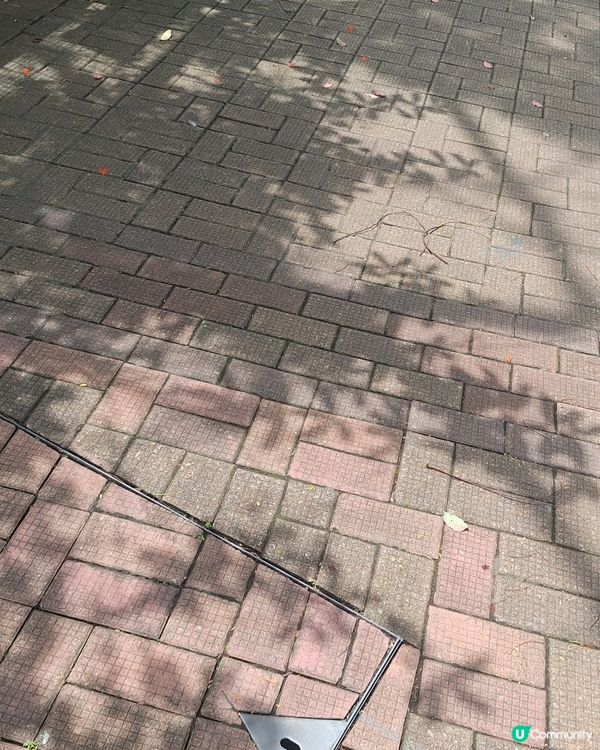 小朋友熱d