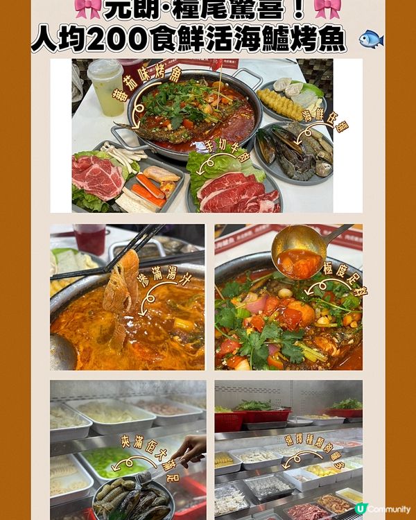🎀元朗｡糧尾驚喜!人均200食鮮活海鱸烤魚 🐟🎀