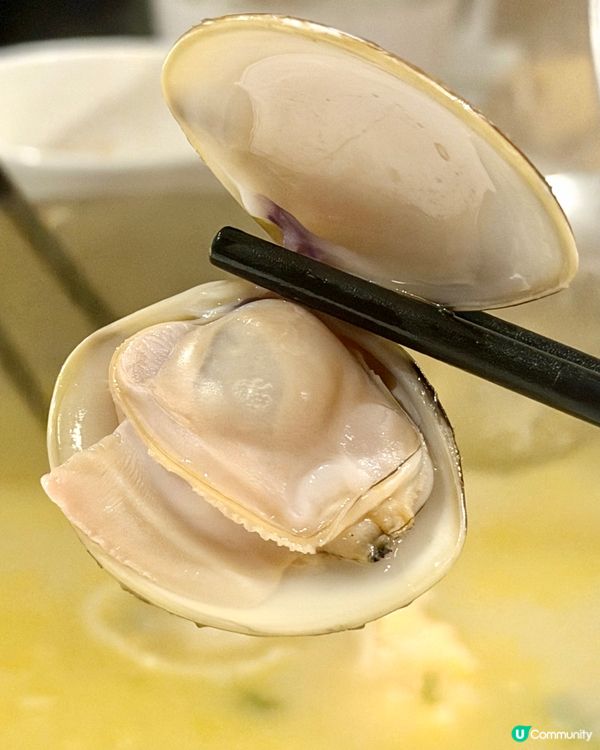 銅鑼灣❣︎謙記火鍋❣︎