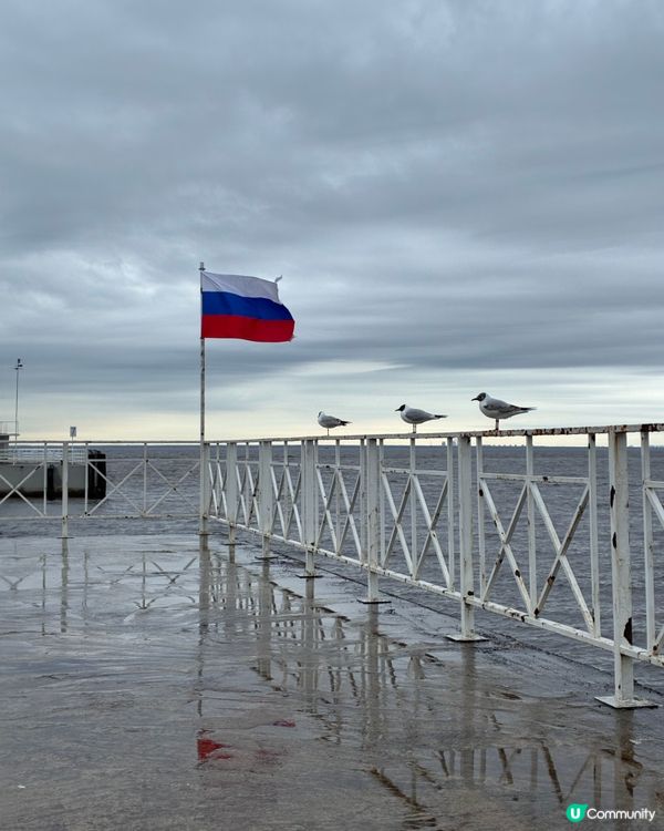俄羅斯夏宮🇷🇺