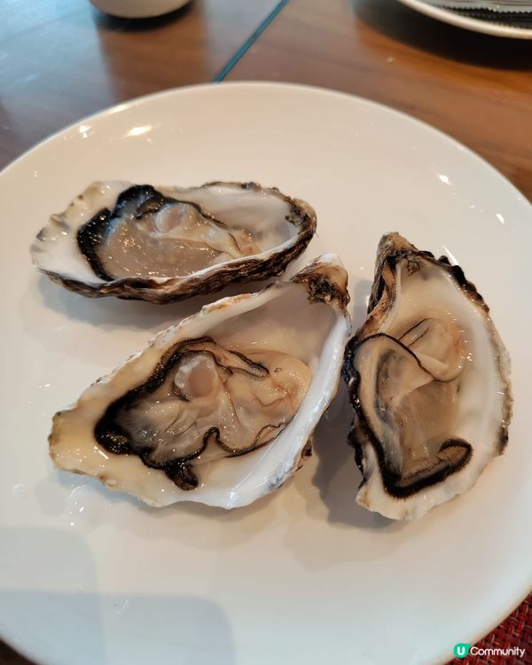 蠔到飽！40隻新鮮生蠔😋