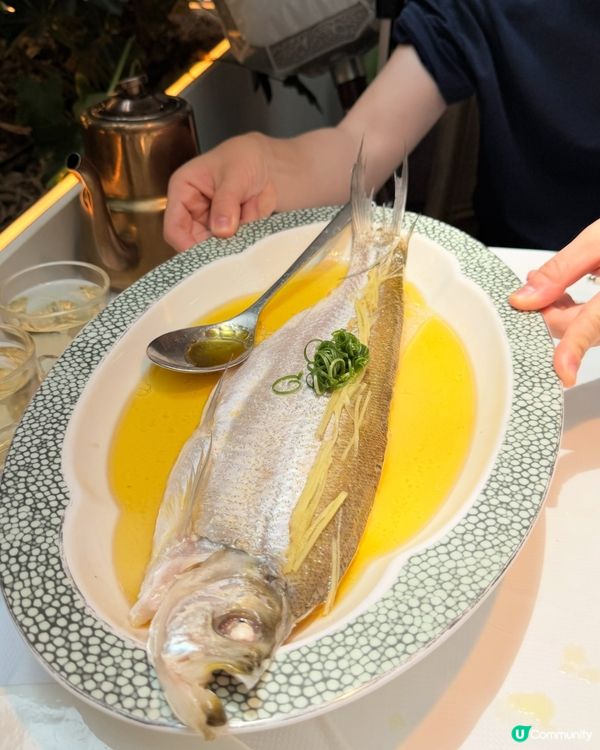 小籠包歎黑椒雞，桂滿隴😋