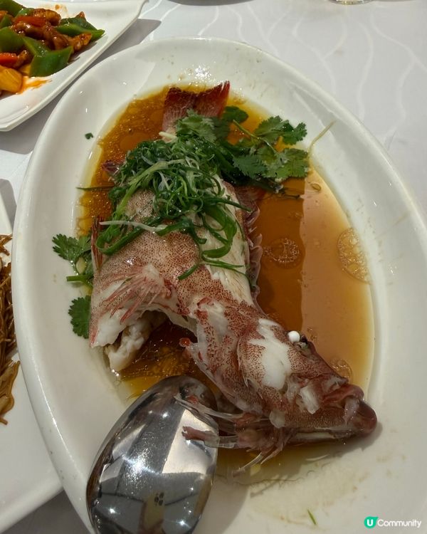 三聖邨 seafood 勁抵食 🦀🦞🍚😋