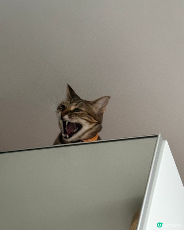 I am waking up from rooftop 