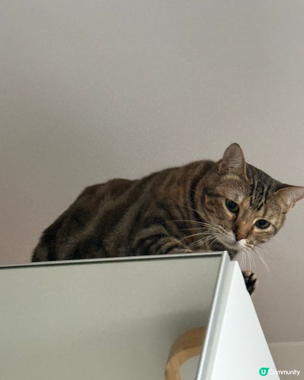 I am waking up from rooftop 