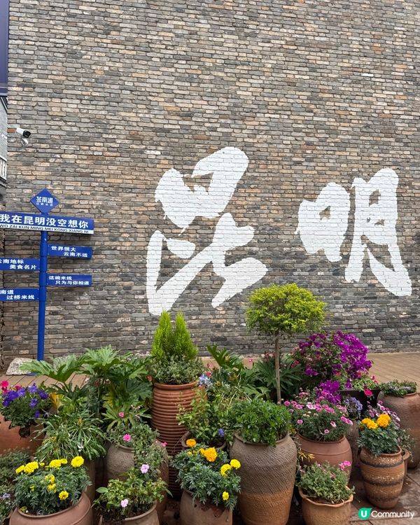 昆明旅遊🧳