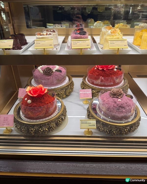 又一城高質餐廳🤤