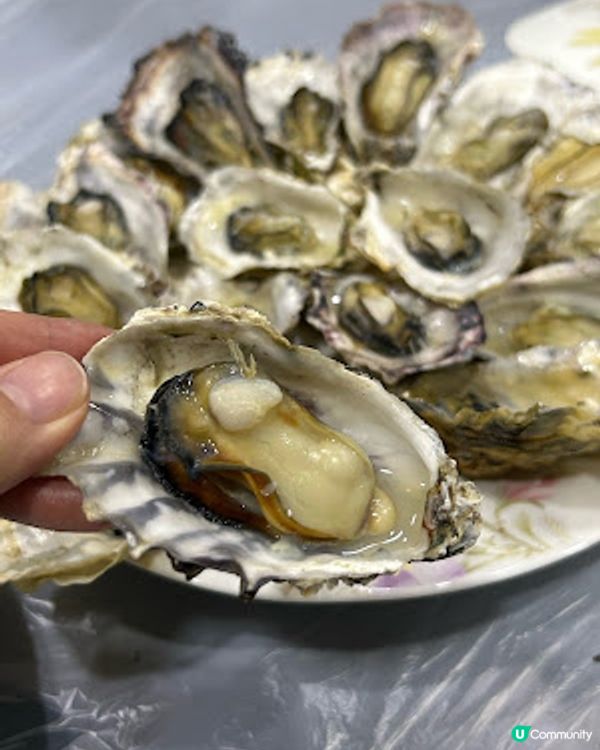 【自家煮】放假就是吃 ♥ 燒蟹腳。醉蝦。醉鮑魚。蒸蠔。慢煮豬鞍。原個菠蘿雪葩