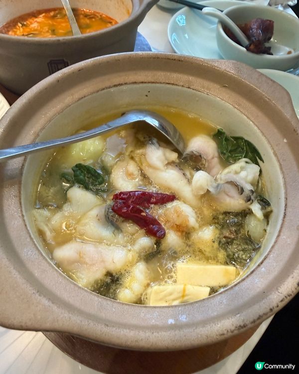 綠茶餐廳登陸香港！🐲🍜