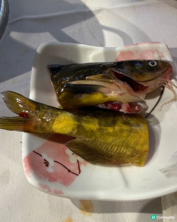 喺東門太陽廣場對面有間領先海鮮自助任飲任食非常多海鮮