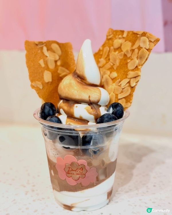 🍦【乳酪雪糕天花板Drool Froyo】✨ ｢滿足杯｣爆多...